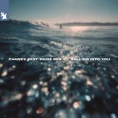 Chart track