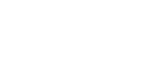 logo_Horizon_White